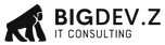 BigDev.Z