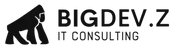 BigDev.Z